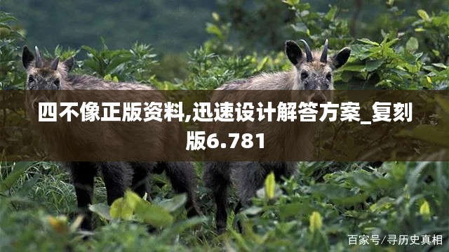 四不像正版资料,迅速设计解答方案_复刻版6.781