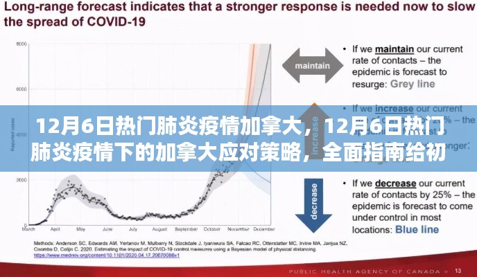 加拿大肺炎疫情全面指南,从初学者到进阶用户的应对策略(12月6日更新)
