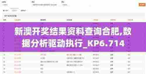 新澳开奖结果资料查询合肥,数据分析驱动执行_KP6.714