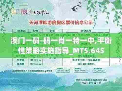 澳门一码-码一肖一特一中,平衡性策略实施指导_MT5.645