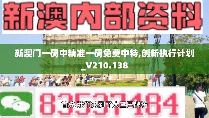 新澳门一码中精准一码免费中特,创新执行计划_V210.138