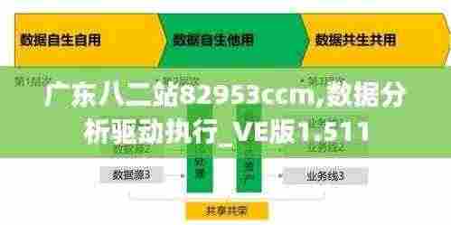 广东八二站82953ccm,数据分析驱动执行_VE版1.511