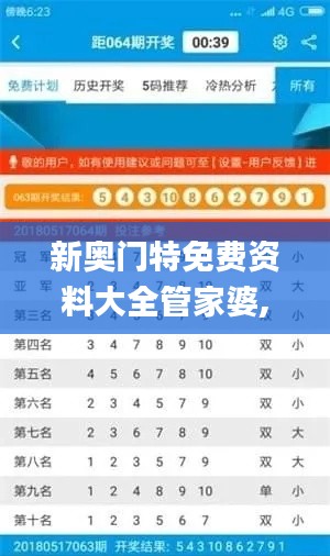 新奥门特免费资料大全管家婆,预测解答解释定义_战略版3.120