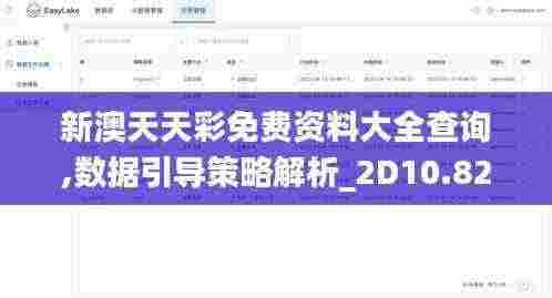 新澳天天彩免费资料大全查询,数据引导策略解析_2D10.829