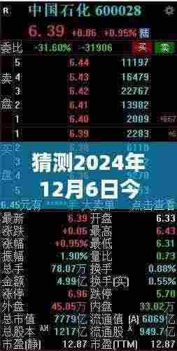 2024年12月6日热门消息预测与产品评测报告