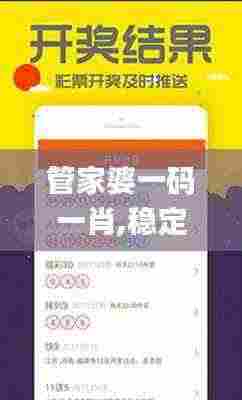 管家婆一码一肖,稳定执行计划_U1.250