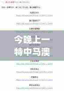 今晚上一特中马澳门,综合计划定义评估_开发版17.835