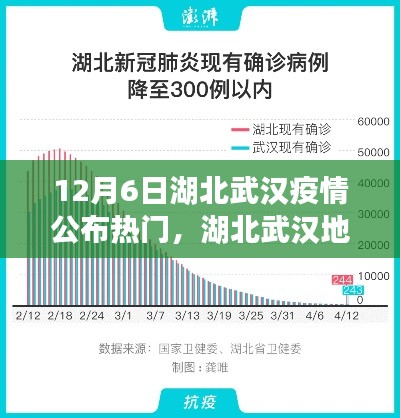 湖北武汉疫情公布热门产品评测,聚焦热门产品分析疫情动态(暂定名)