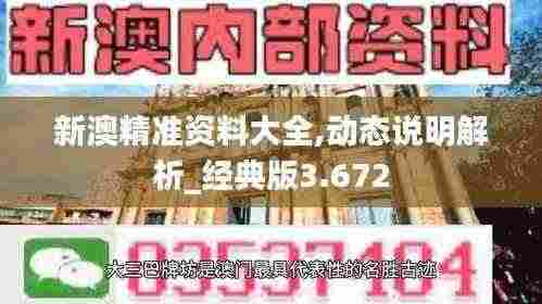新澳精准资料大全,动态说明解析_经典版3.672