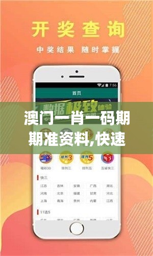 澳门一肖一码期期准资料,快速解答执行方案_WP6.361