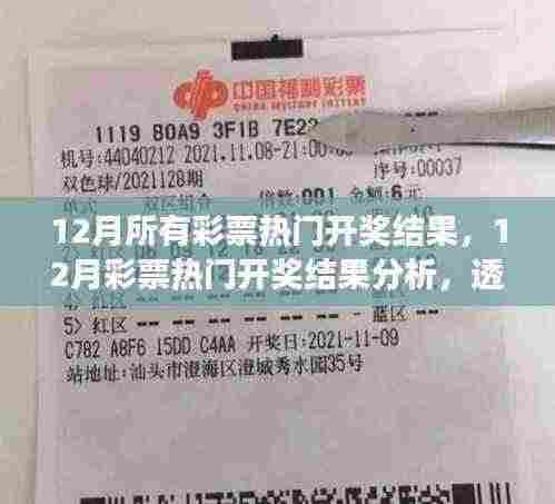 揭秘争议与观点,12月彩票热门开奖结果深度解析