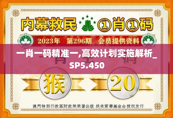 一肖一码精准一,高效计划实施解析_SP5.450