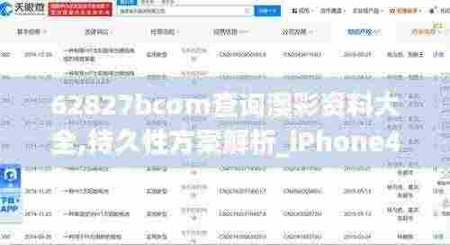 62827bcσm查询澳彩资料大全,持久性方案解析_iPhone4.327