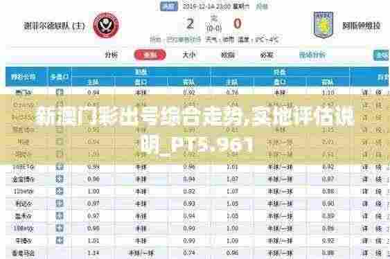 新澳门彩出号综合走势,实地评估说明_PT5.961