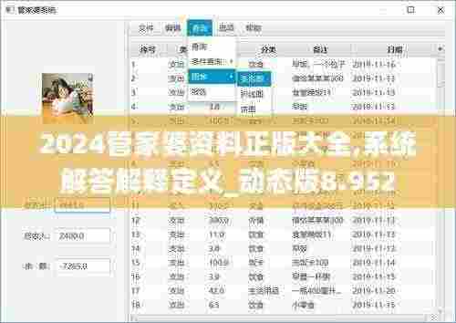 2024管家婆资料正版大全,系统解答解释定义_动态版8.952