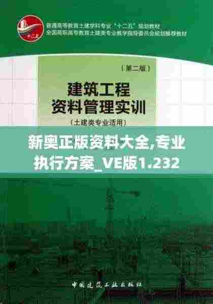 新奥正版资料大全,专业执行方案_VE版1.232