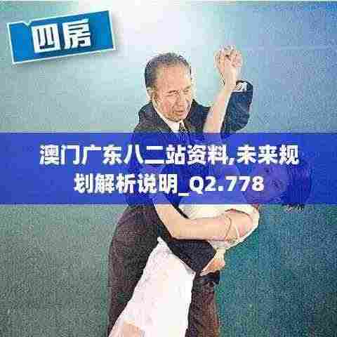 澳门广东八二站资料,未来规划解析说明_Q2.778