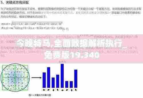 今晚特马,全面数据解析执行_免费版19.340
