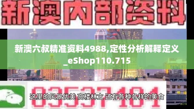 新澳六叔精准资料4988,定性分析解释定义_eShop110.715