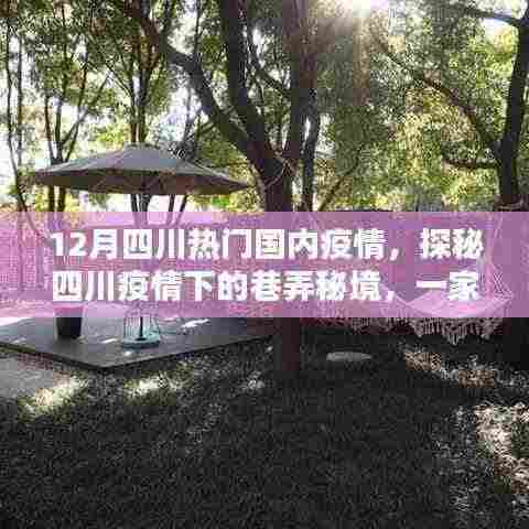 四川疫情下的巷弄秘境,独特小店探秘与疫情下的故事