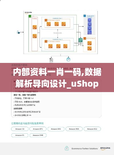 内部资料一肖一码,数据解析导向设计_uShop6.667