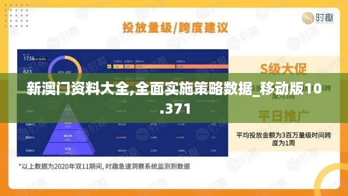 新澳门资料大全,全面实施策略数据_移动版10.371