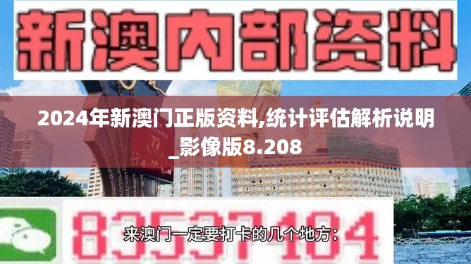2024年新澳门正版资料,统计评估解析说明_影像版8.208