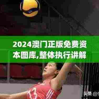 2024澳门正版免费资本图库,整体执行讲解_纪念版6.288