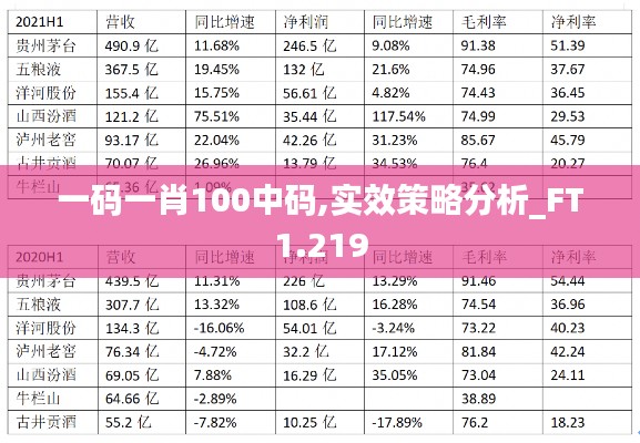 一码一肖100中码,实效策略分析_FT1.219