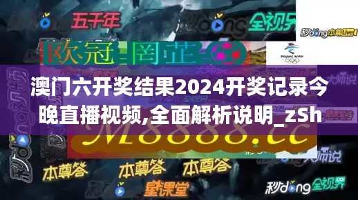 澳门六开奖结果2024开奖记录今晚直播视频,全面解析说明_zShop1.667