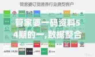管家婆一码资料54期的一,数据整合设计解析_限量款7.770