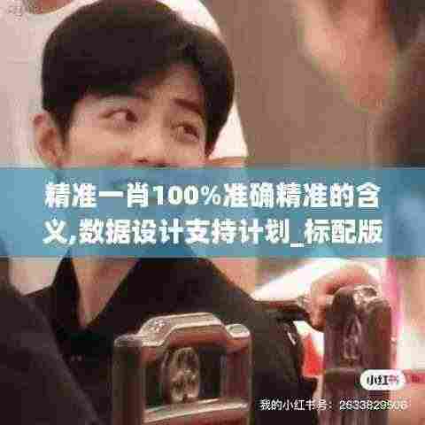 精准一肖100%准确精准的含义,数据设计支持计划_标配版1.122