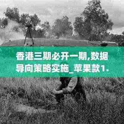 香港三期必开一期,数据导向策略实施_苹果款1.704