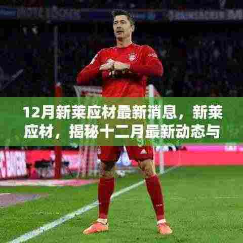 揭秘新莱应材十二月最新动态与行业地位,最新消息一览