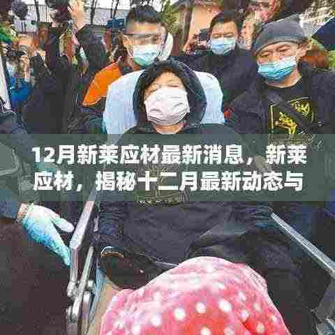 揭秘新莱应材十二月最新动态与行业地位,最新消息一览