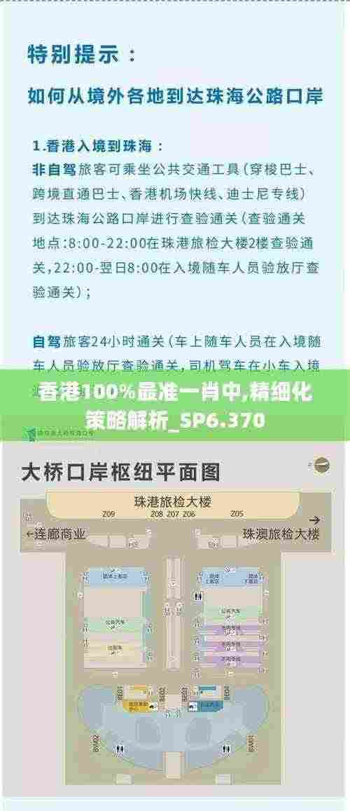 香港100%最准一肖中,精细化策略解析_SP6.370