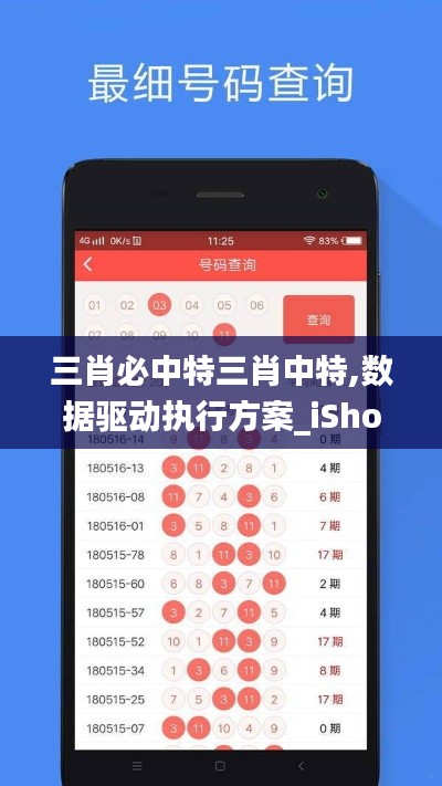 三肖必中特三肖中特,数据驱动执行方案_iShop6.533