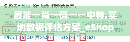 最准一肖一码一一中特,实地数据评估方案_eShop18.338