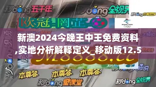 新澳2024今晚王中王免费资料,实地分析解释定义_移动版12.532