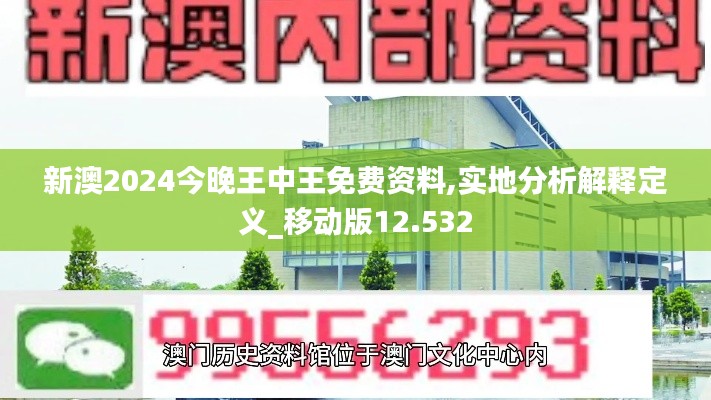 新澳2024今晚王中王免费资料,实地分析解释定义_移动版12.532