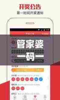 管家婆一码一肖100中奖青岛,数据支持执行策略_SHD8.152