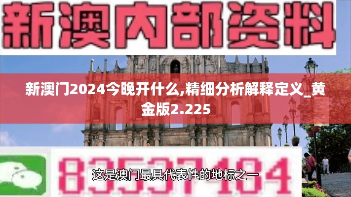 新澳门2024今晚开什么,精细分析解释定义_黄金版2.225