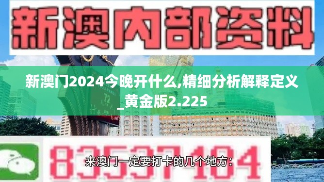 新澳门2024今晚开什么,精细分析解释定义_黄金版2.225
