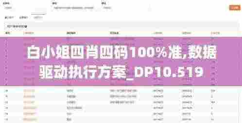白小姐四肖四码100%准,数据驱动执行方案_DP10.519