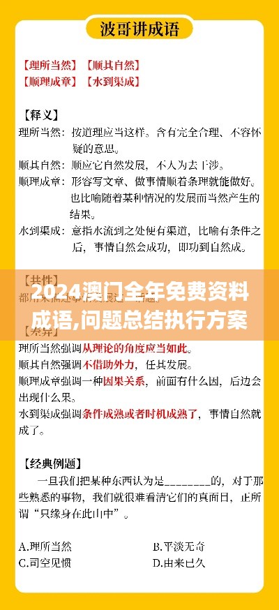 2024澳门全年免费资料成语,问题总结执行方案_领航款7.691
