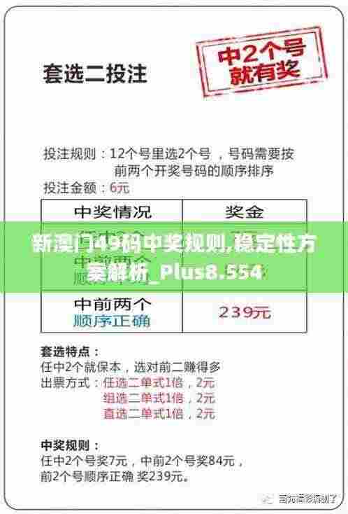 新澳门49码中奖规则,稳定性方案解析_Plus8.554