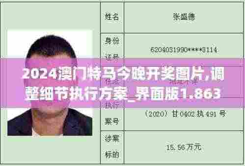 2024澳门特马今晚开奖图片,调整细节执行方案_界面版1.863