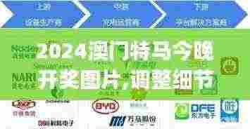 2024澳门特马今晚开奖图片,调整细节执行方案_界面版1.863