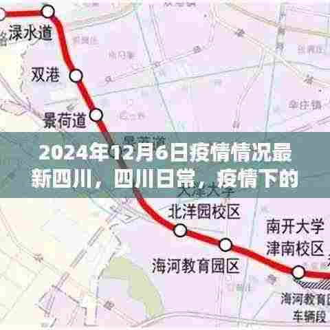 四川温馨时光,疫情下的日常与最新进展(2024年12月6日)