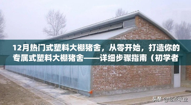 从零开始打造专属式塑料大棚猪舍,详细指南(适合初学者与进阶用户参考)